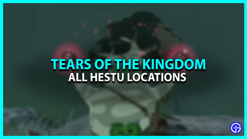 Hestu Locations In Zelda Tears Of The Kingdom (TOTK)