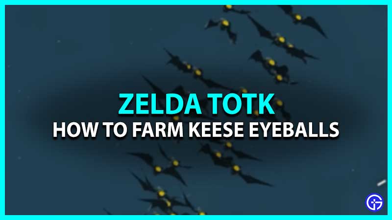 Farm Keese Eyeballs TOTK