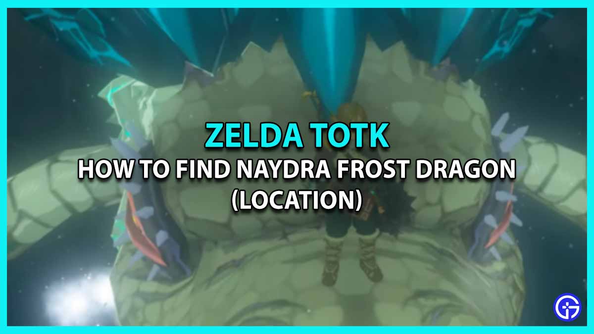 How To Find Naydra In Tears Of The Kingdom (Frost Dragon Location)