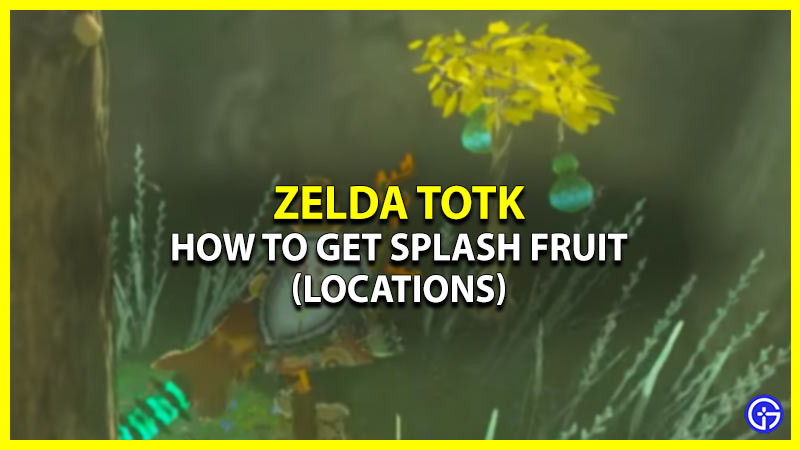 How To Find Splash Fruit In Zelda TotK (Locations Guide)