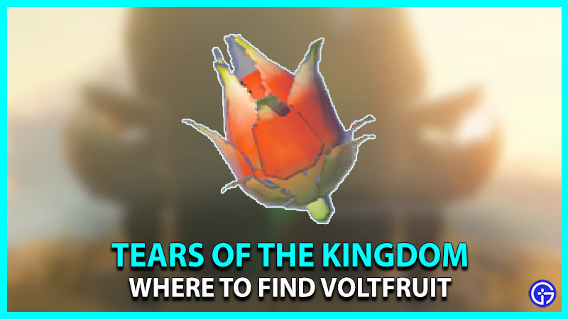 Voltfruit In TOTK (Tears Of The Kingdom)