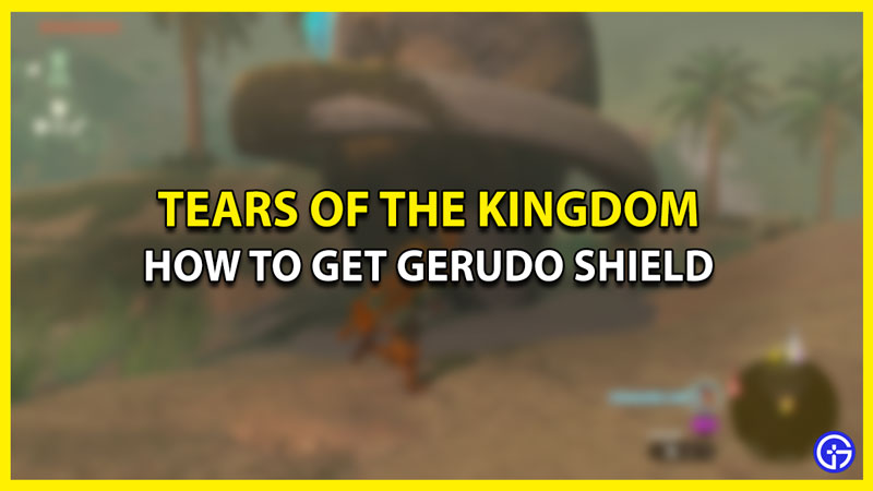 How to Get Gerudo Shield in Zelda Tears of the Kingdom