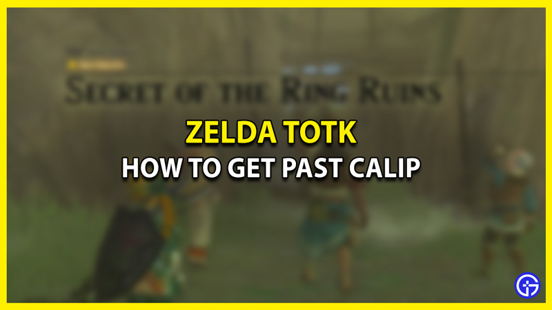 How to Get Past Calip in Zelda Tears of the Kingdom