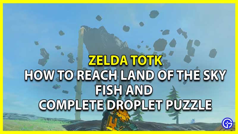 How to Reach Land of the Sky Fish in Zelda Tears of the Kingdom