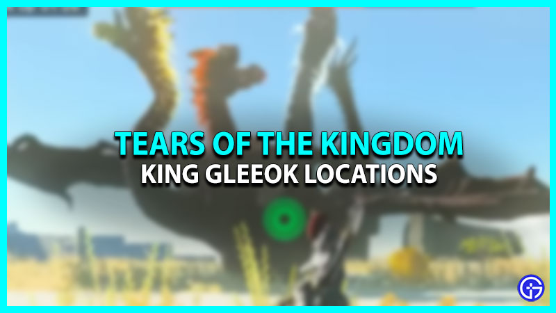 King Gleeok Locations in Tears of the Kingdom (TOTK)