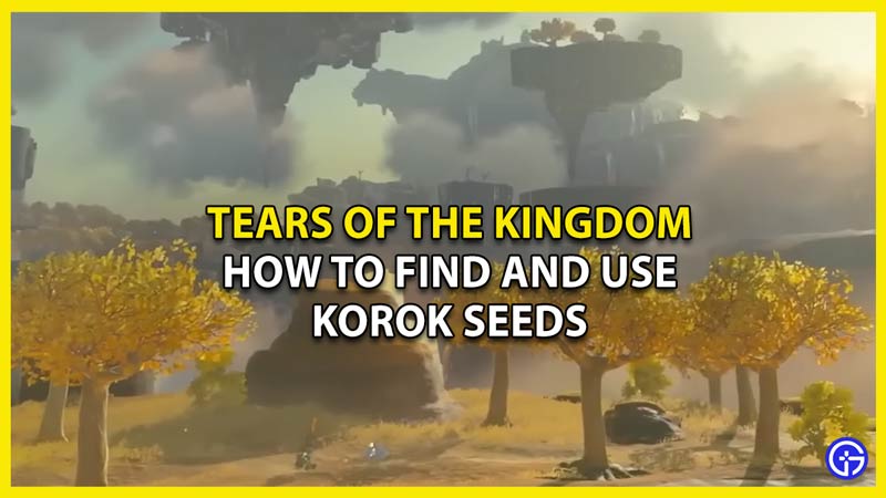 find korok seeds tears of the kingdom