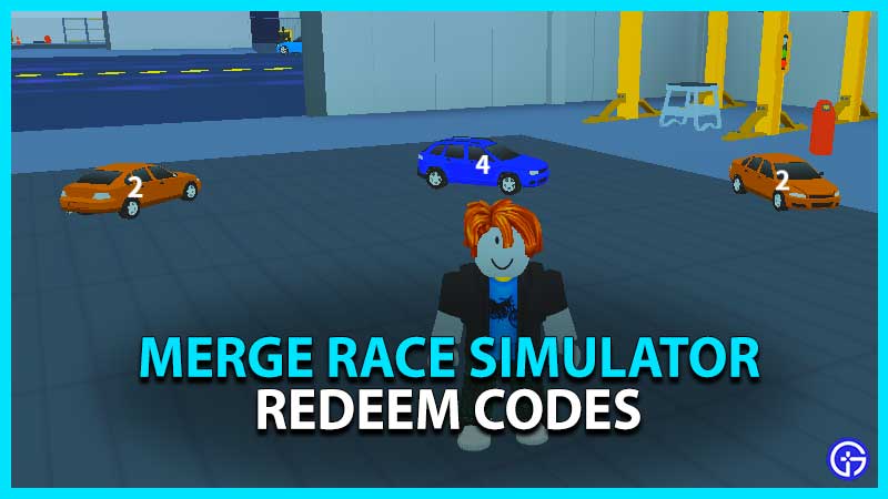 Merge Race Simulator Codes