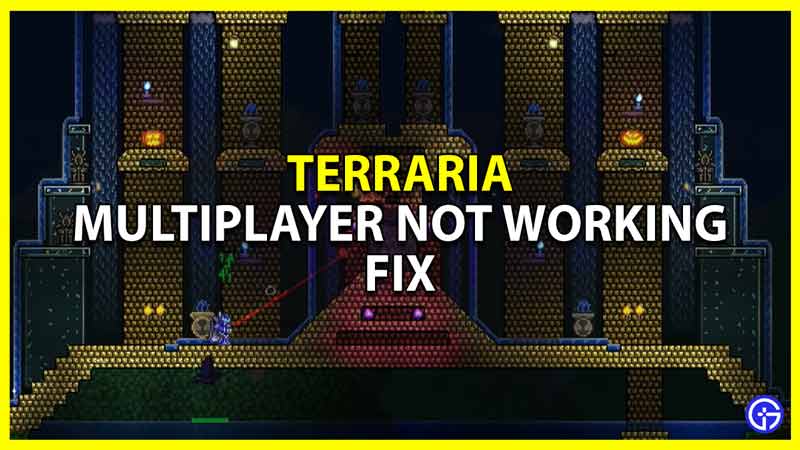 Terraria Multiplayer Not Working Fix