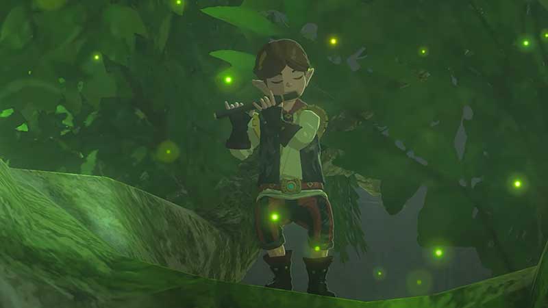 Play Sound Of A Flute In Zelda Tears Of The Kingdom