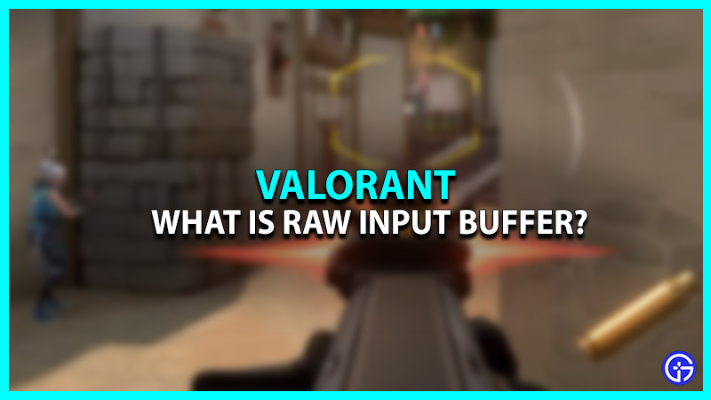 Raw Input Buffer in Valorant