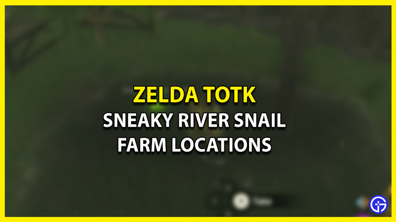 Sneaky River Snails Farm Locations in Zelda Tears of the Kingdom