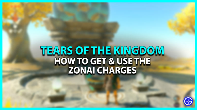 Tears Of The Kingdom Zonai Charge