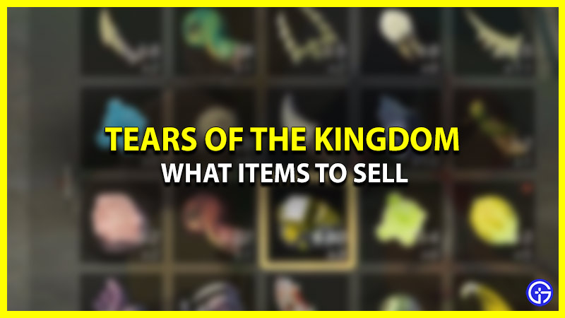 Best Items to Sell in Zelda TOTK