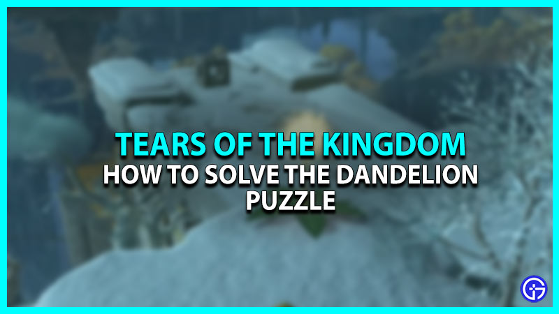 Dandelion Puzzle in Zelda: Tears of the Kingdom