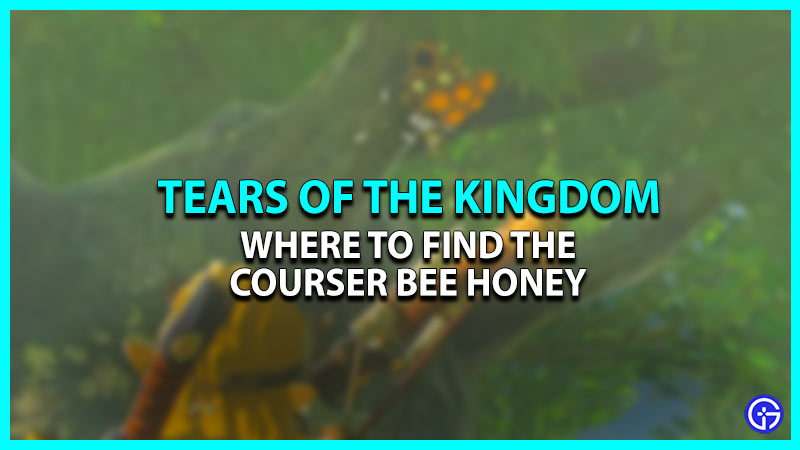 Courser Bee Honey In Zelda TOTK