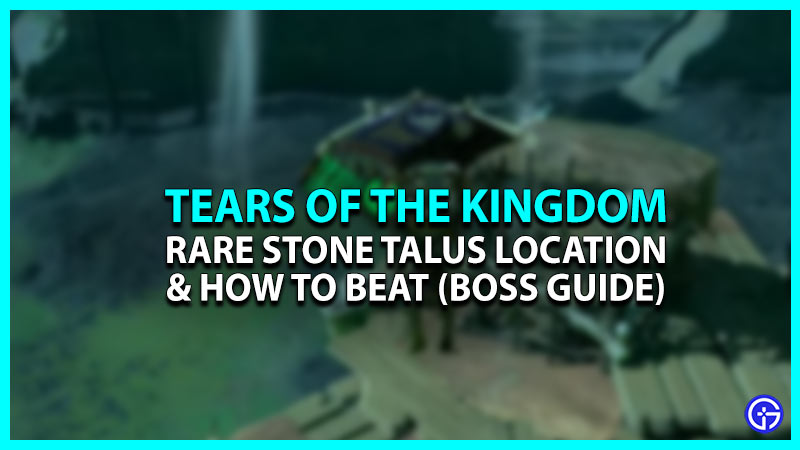 Rare Stone Talus in Tears of the Kingdom (TOTK)