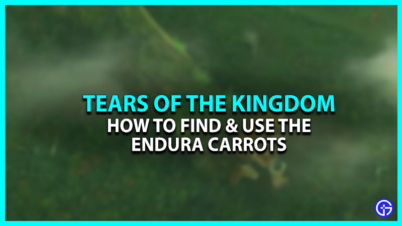 Endura Carrots Location in Tears of the Kingdom (TOTK)