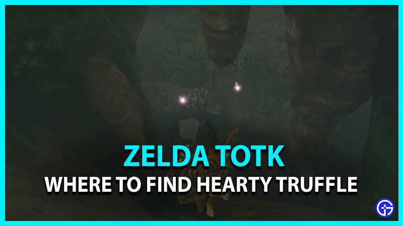 Where To Find Hearty Truffle Zelda TotK