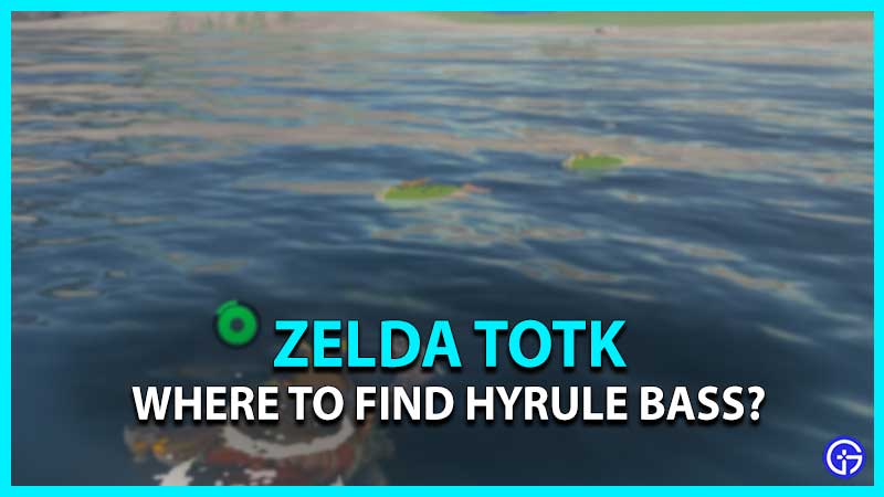 Where To Find Hyrule Bass In TOTK