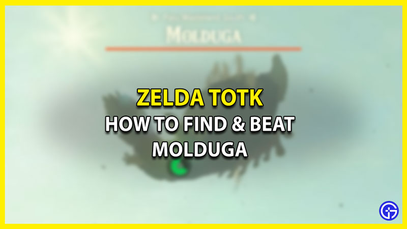 Where To Find Molduga In Zelda Tears Of The Kingdom