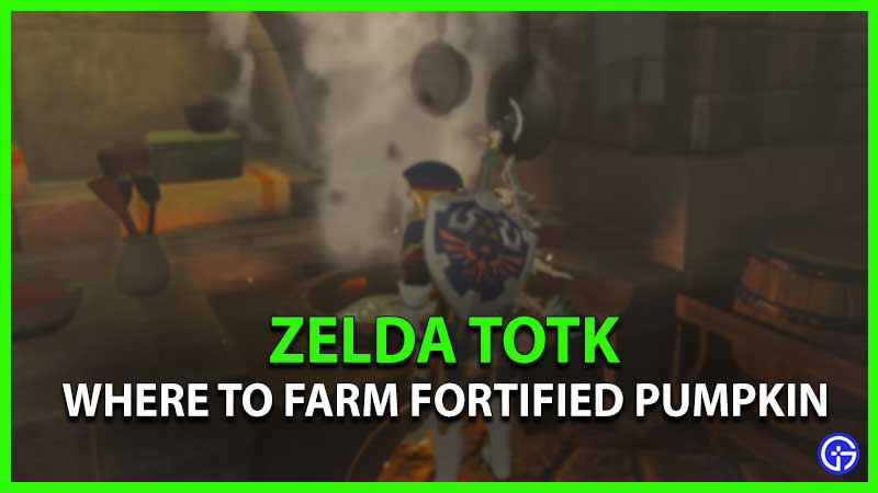 Where to Farm Fortified Pumpkin Zelda TotK
