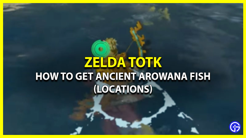 Where to Find Ancient Arowana Fish in Tears of the Kingdom