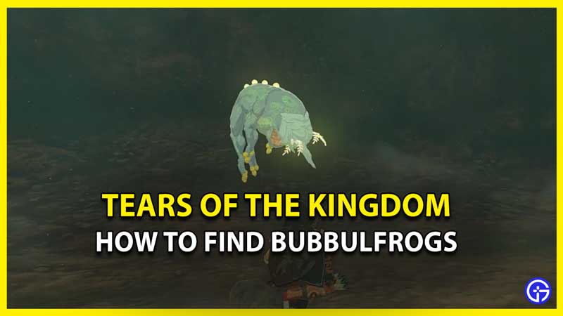 Where to Find Bubbulfrogs in Zelda Tears of the Kingdom