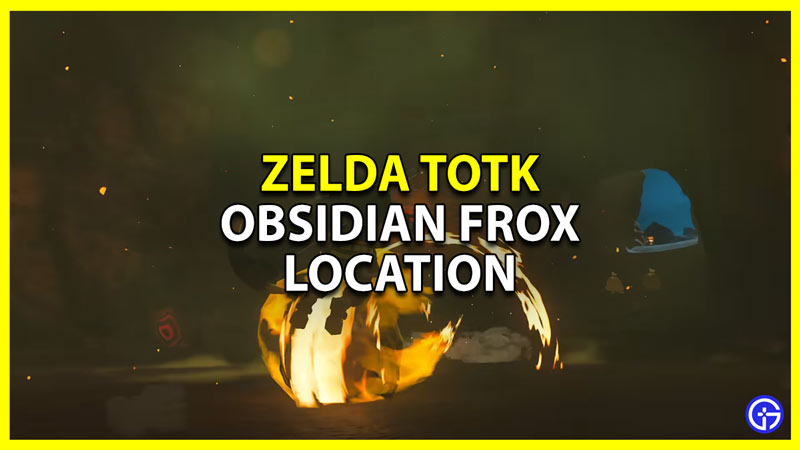 Zelda Tears of the Kingdom Obsidian Frox Location