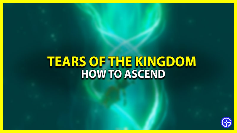 Zelda Tears Of Kingdom Ascend Ability