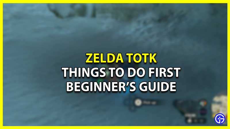 Zelda Tears Of The Kingdom Beginner's Guide On What To Do First
