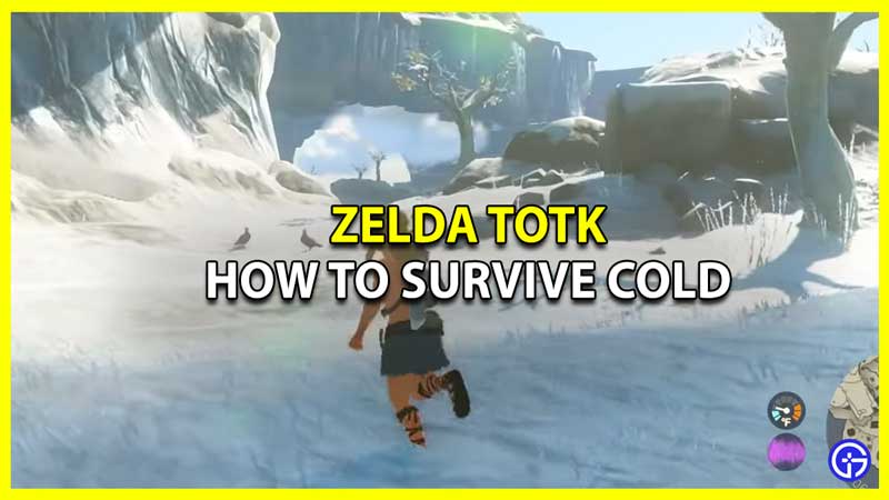 Zelda Tears Of the Kingdom Early Cold Protection Guide