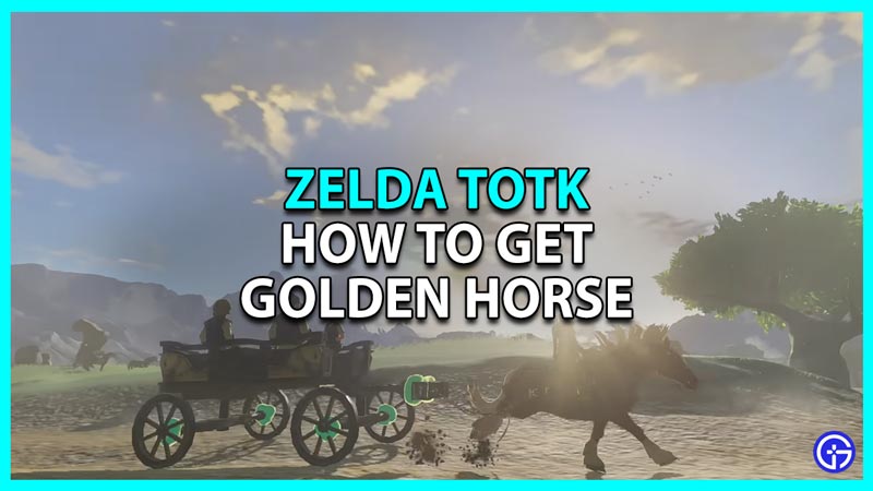 legend of zelda totk golden horse