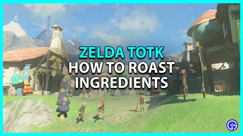 Zelda Tears of the Kingdom Roast Ingredients