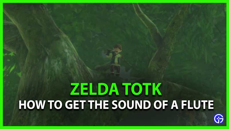 Zelda TotK Get Sound Of A Flute