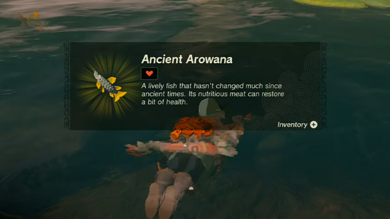 catch Ancient Arowana zelda totk