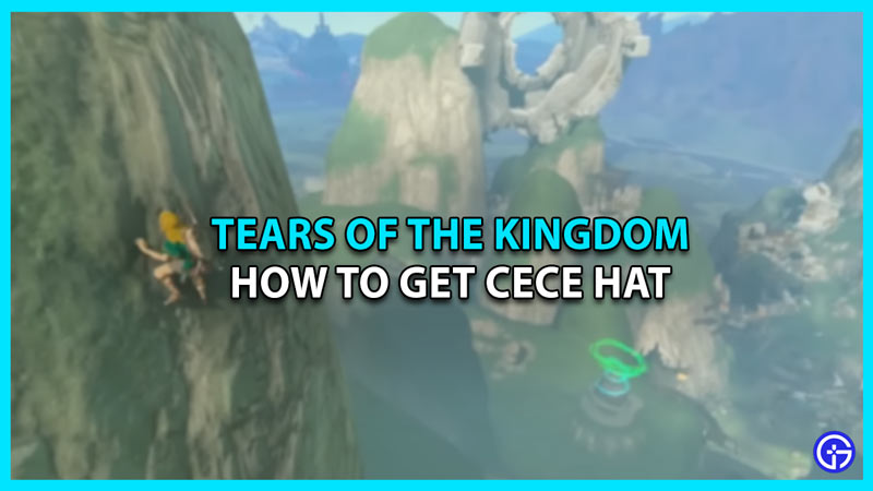 cece hat tears of the kingdom