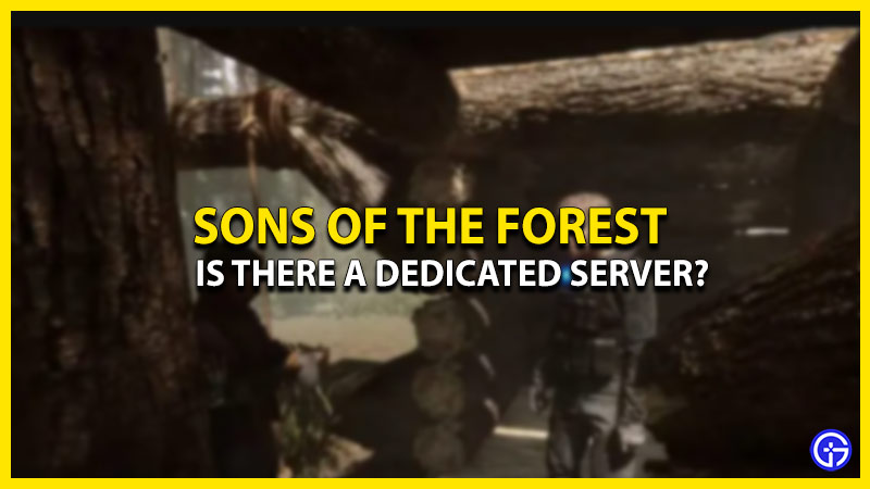 dedicated server in sons of the forest