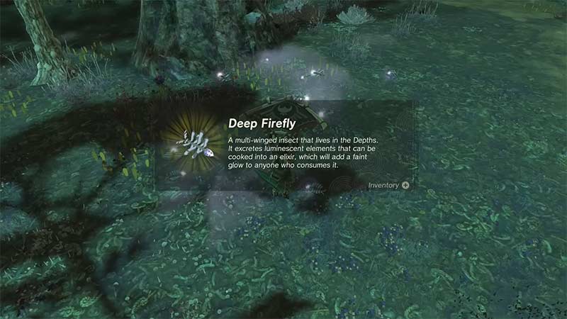 deep fireflies elixir totk