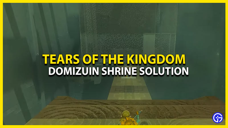 domizuin-shrine-puzzle-zelda-tears-of-the-kingdom