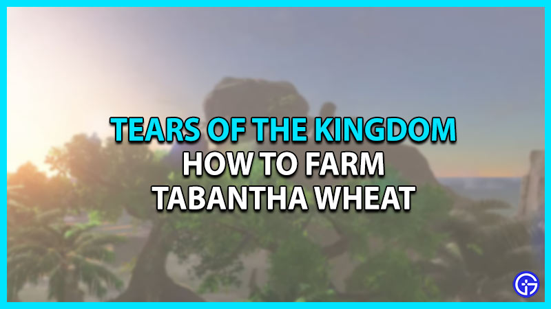 tabantha wheat tears of the kingdom totk