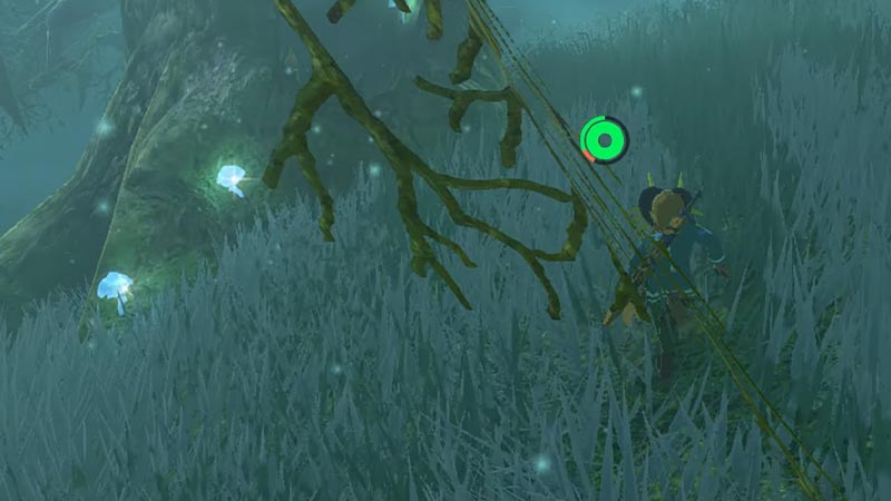 Follow mushrooms to get Forest Dweller's Bow at Lake Saria in ToTK