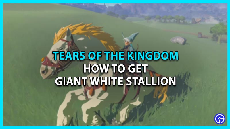 giant white stallion horse tears of the kingdom totk
