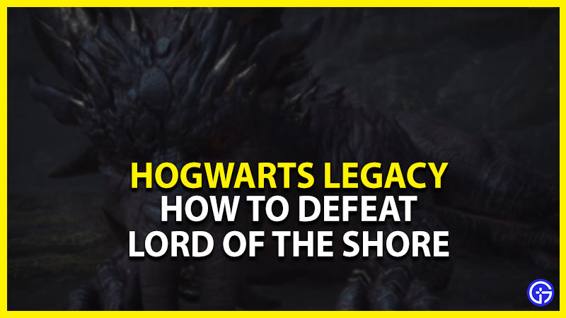 how to defeat lord of the shore in hogwarts legacy
