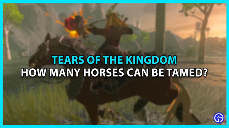 how many horses tears of the kingdom