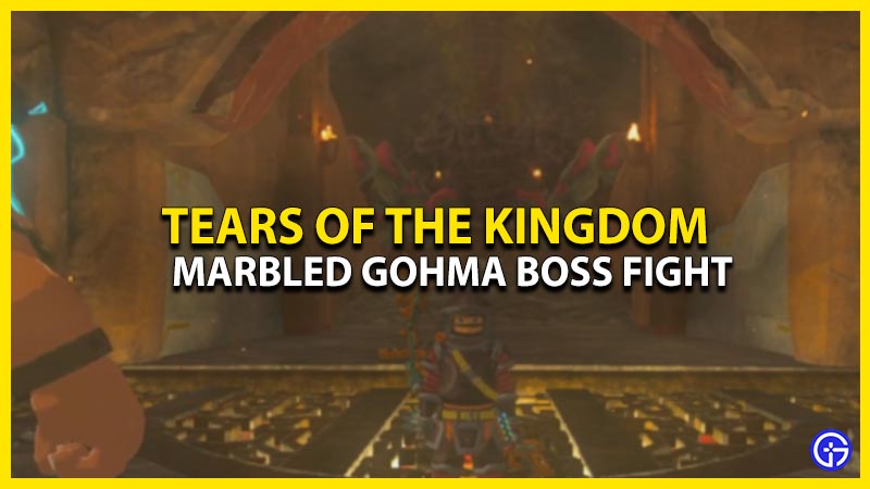 how to beat marbled gohma boss in zelda tears of the kingdom