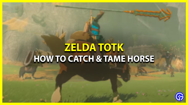 how to catch & tame horse in zelda tears of the kingdom totk