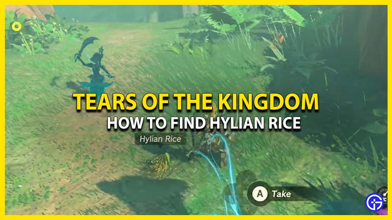 how-to-find-hylian-rice-in-tears-of-the-kingdom