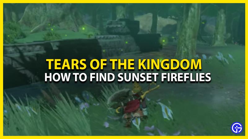 how-to-find-sunset-fireflies-in-zelda-tears-of-the-kingdom