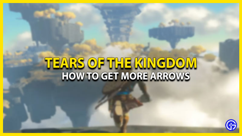 how-to-get-more-arrows-zelda-tears-of-the-kingdom