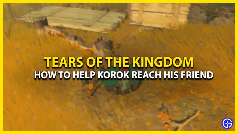 how-to-reunite-korok-friends-in-tears-of-the-kingdom